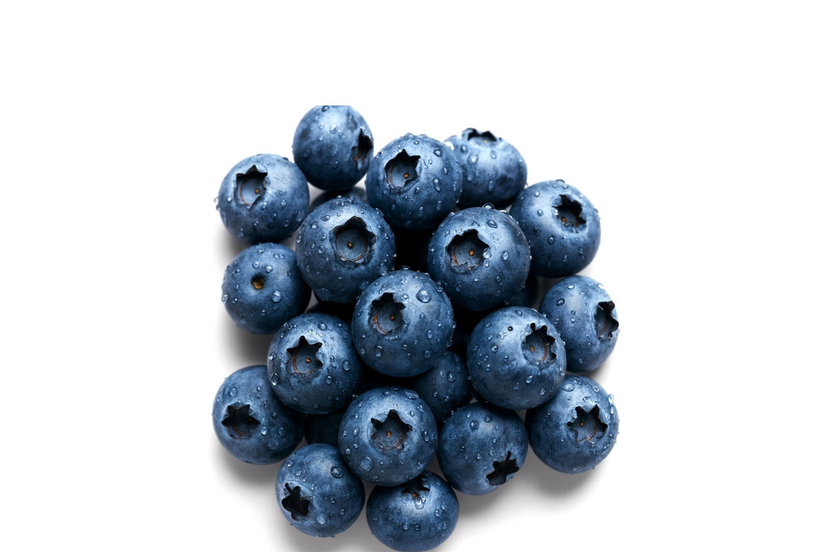 Azure Huckleberry Seeds - Non-GMO Flower Seeds, 125/300/500 Count - Vaccinium deliciosum