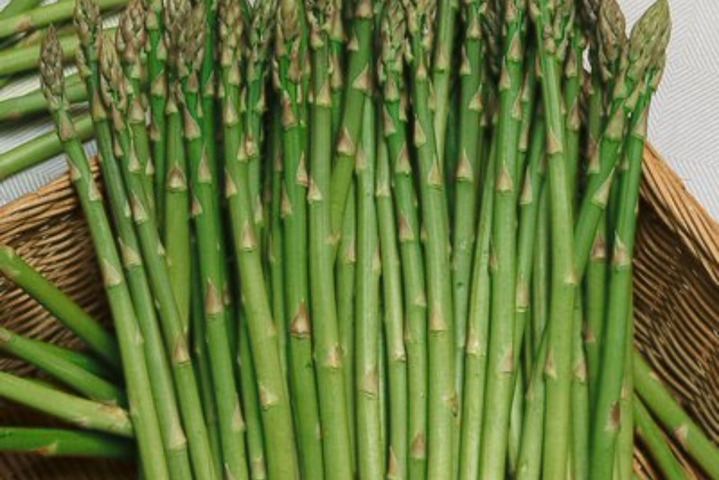 Asparagus Mary Washington 1g Seeds - Heirloom Perennial Vegetable