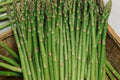 Asparagus Mary Washington 1g Seeds - Heirloom Perennial Vegetable