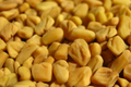 Fenugreek Seeds - Trigonella Foenum-Graecum (G85) 50 Seeds - Culinary Herb