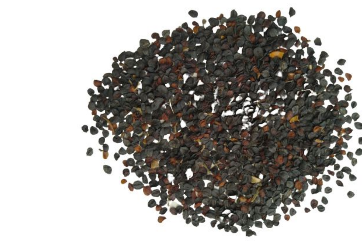 Dianthus Seeds Sweet William G112 - Mixed Colors, 175mg