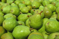 Joey Red Flesh Pear Tree Cuttings (Unrooted Scions) - 2 for Grafting