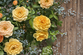 Julia Child Rose Cuttings – 3 Live Unrooted 5–8 inch Floribunda for Propagation