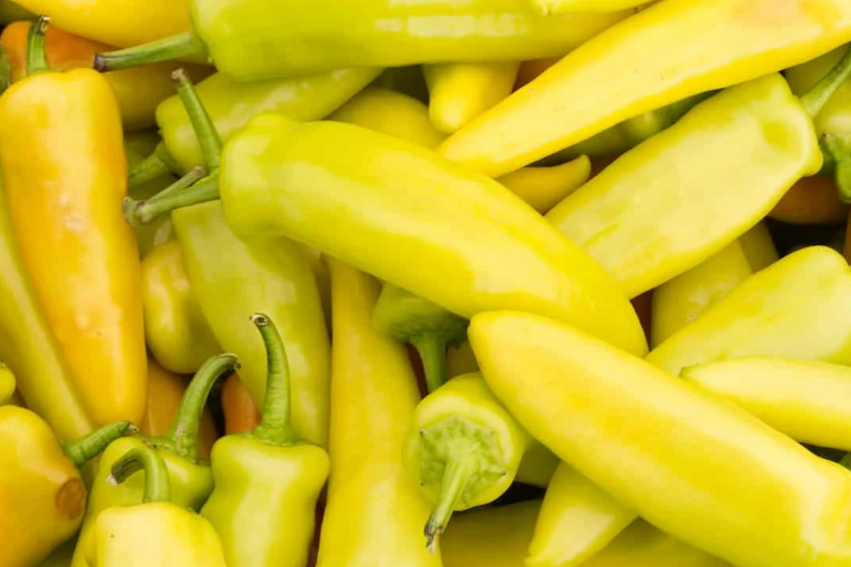 Hungarian Wax Hot Pepper Seeds - Heirloom, Non-GMO, 200 Seeds