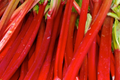 Victoria Rhubarb Crowns - Bare Root for Pies & Jams