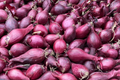 Red Baron Red Onion Sets - 8 oz (40-60 Bulbs) | Long-Day Storage Onion