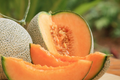 Cantaloupe Melon Seeds - 25 Premium Heirloom Seeds, Cucumis melo, Easy to Grow