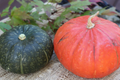 Kabocha Squash Seeds - Heirloom Japanese Pumpkin Variety (15 Seeds) Easy to Grow