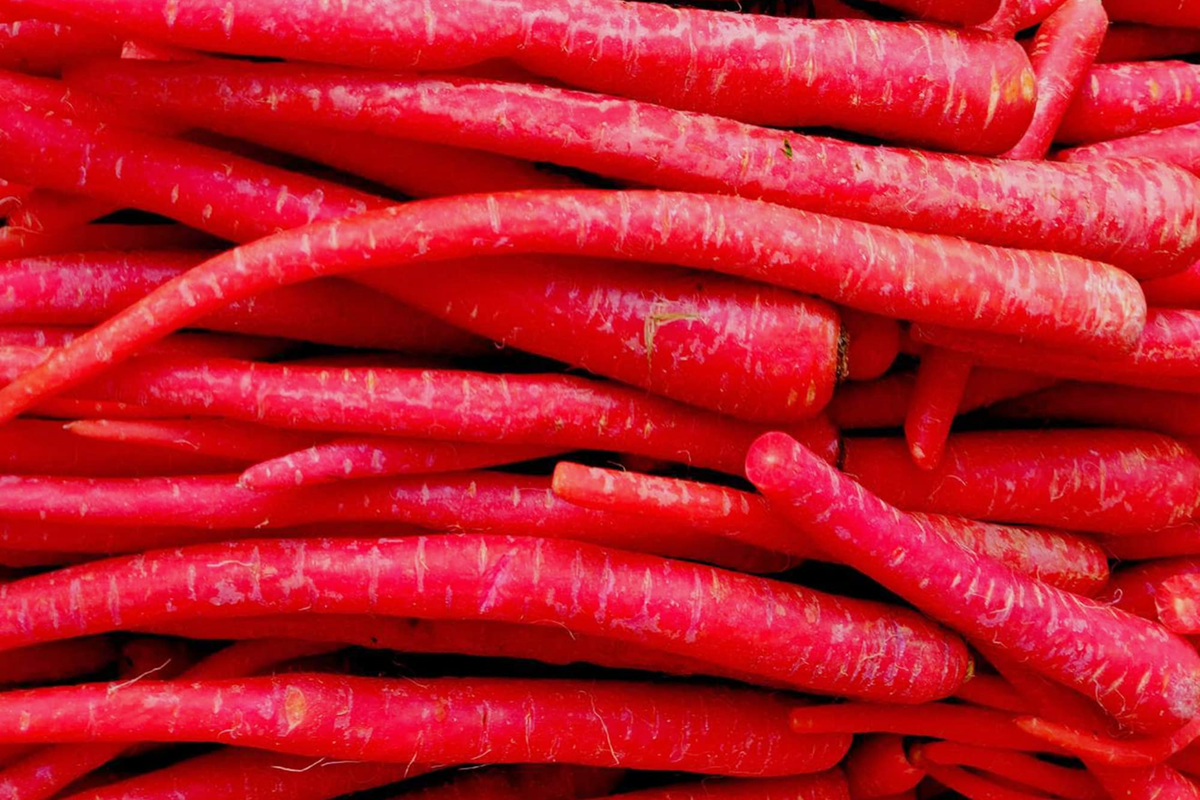 Red Carrot Seeds - 1000pcs Heirloom Daucus carota, Deep Red, Juicy Roots