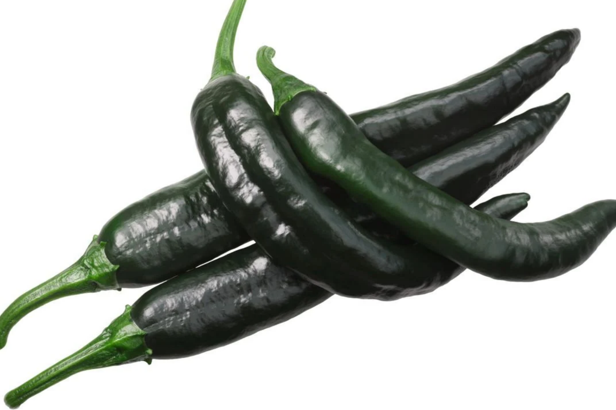 Pasilla Bajio Chilaca Pepper Seeds - Capsicum annuum, Mild & Smoky Mexican Chile (25 Seeds)