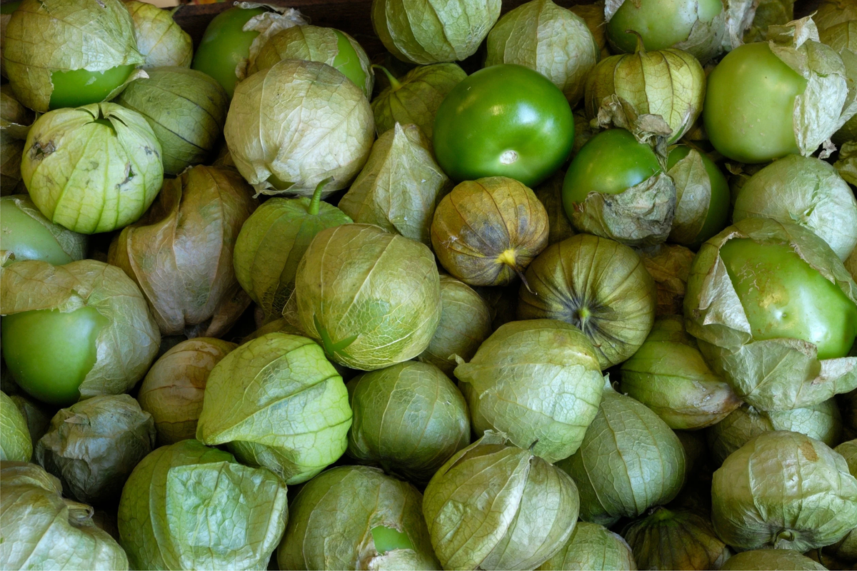 Tomatillo Verde Seeds (Physalis ixocarpa) - 100mg, Annual Vegetable for Salsa Verde