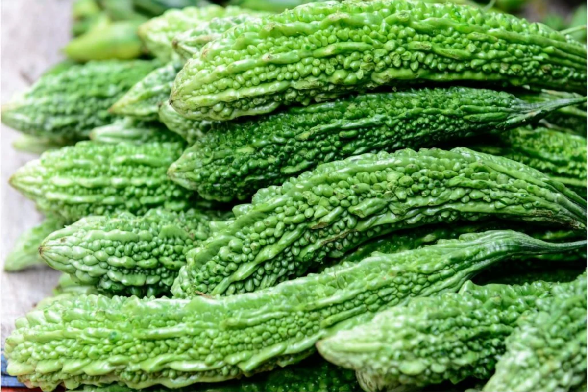 Bitter Melon Seeds (Momordica charantia) - 15 Heirloom Seeds, Fast-Growing Vine