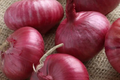 Southport Red Globe Onion Seeds (Allium cepa) - 250mg Heirloom, Crisp Flavor