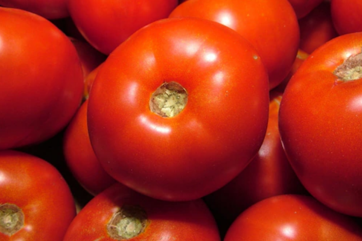 Tomato Rutgers Seeds - Heirloom Solanum lycopersicum, 100mg, Non-GMO