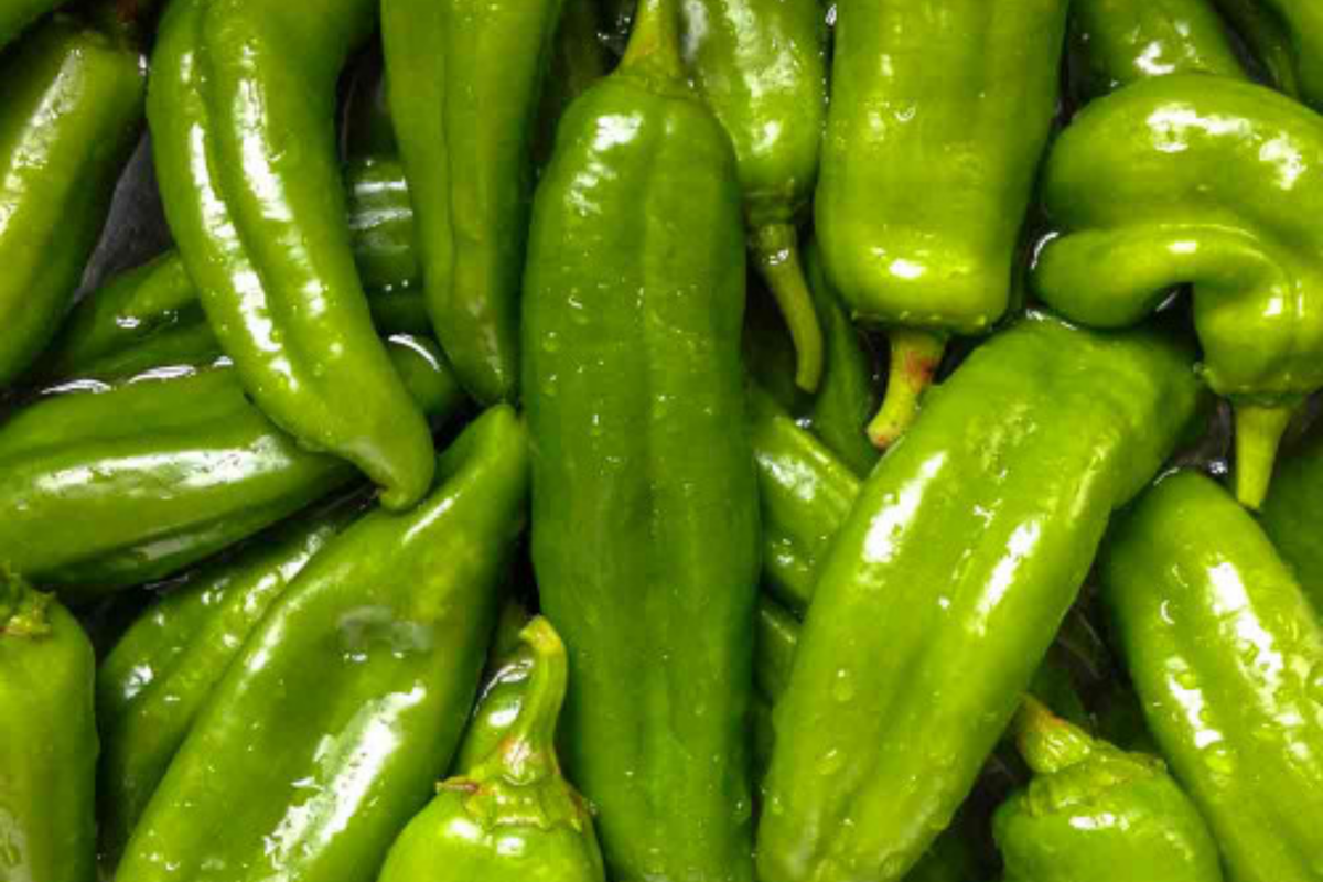 Sandia Hot Pepper Seeds - Capsicum annuum (250mg) Heirloom, Medium-Hot, Non-GMO