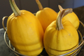 Spaghetti Winter Squash Seeds Cucurbita pepo - 1g, Non-GMO, Heirloom, 90-100 Days