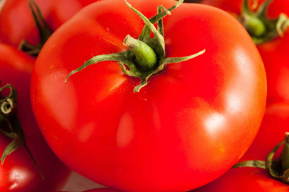 Tomato Beefsteak Seeds (Solanum lycopersicum) - Heirloom, 300mg, Indeterminate, Large 1–2 lb Fruits