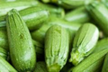 Dark Green Zucchini Seeds (Cucurbita pepo) - 1g, High-Yield Summer Squash