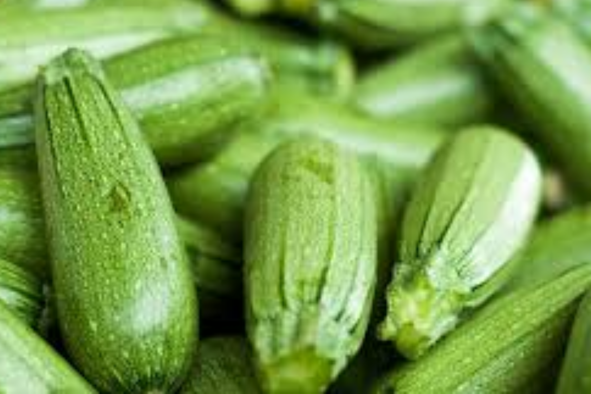 Dark Green Zucchini Seeds (Cucurbita pepo) - 1g, High-Yield Summer Squash
