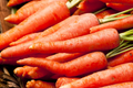 Tendersweet Carrot Seeds - 400+ Non-GMO Daucus carota Subsp. sativus