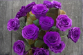 Dark Purple English Rose Seeds - 20 Seeds | Ornamental Garden Flower Seed