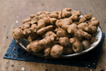 Edible Ginger Live Plant (Zingiber officinale) – Starter Plant, Non-GMO, Pesticide-Free