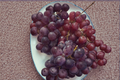 Red Globe Grape Vine 1 Gallon Live Plant – Vitis vinifera Red Globe