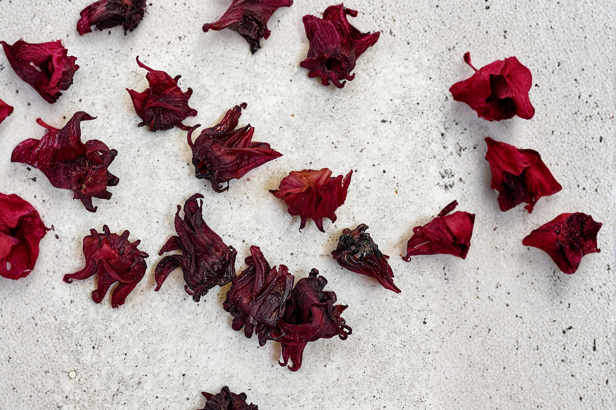 Roselle Live Plant Hibiscus sabdariffa (Jamaican Tea Plant) 7–11 Inch Starter Plant