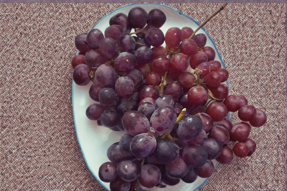 Red Flame Seedless Grape Vine - 3 Gal Live Plant, Vitis vinifera