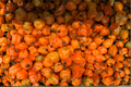 Fried Chicken Super Hot Pepper Live Plants – 3 Starter Pepper Plants
