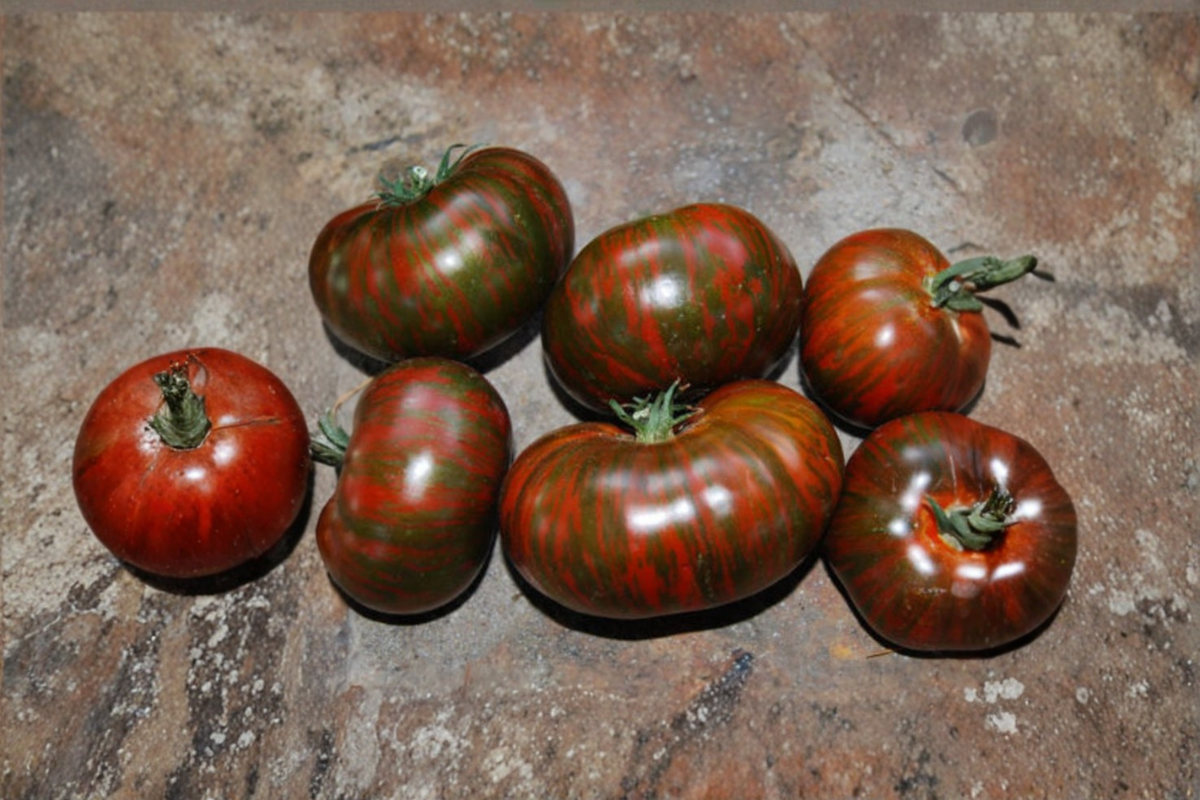 Chocolate Stripe Tomato Seeds - Mahogany Heirloom Variety, 10 Seeds