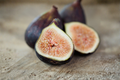 Black Mission Fig Live Plant - Rooted Potted Cutting, Ficus carica