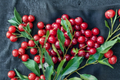 Bing Cherry Tree Seeds – Pack of 5 Prunus avium Seeds for Indoor or Outdoor Planting
