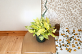 Pothos Snow Queen Live Plant – Variegated Epipremnum Aureum, Rooted Starter Hanging Plant
