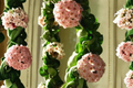 Hoya Hindu Rope Live Plant in 6-Inch Hanging Basket | Hoya carnosa 'Compacta'