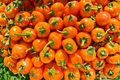 Aji Chinchi Amarillo Pepper Plants - 3 Live Starter Plants ~75+ Days