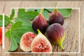 Black Mission Fig Seeds - 30 Fresh Seeds for Indoor or Outdoor Growing
