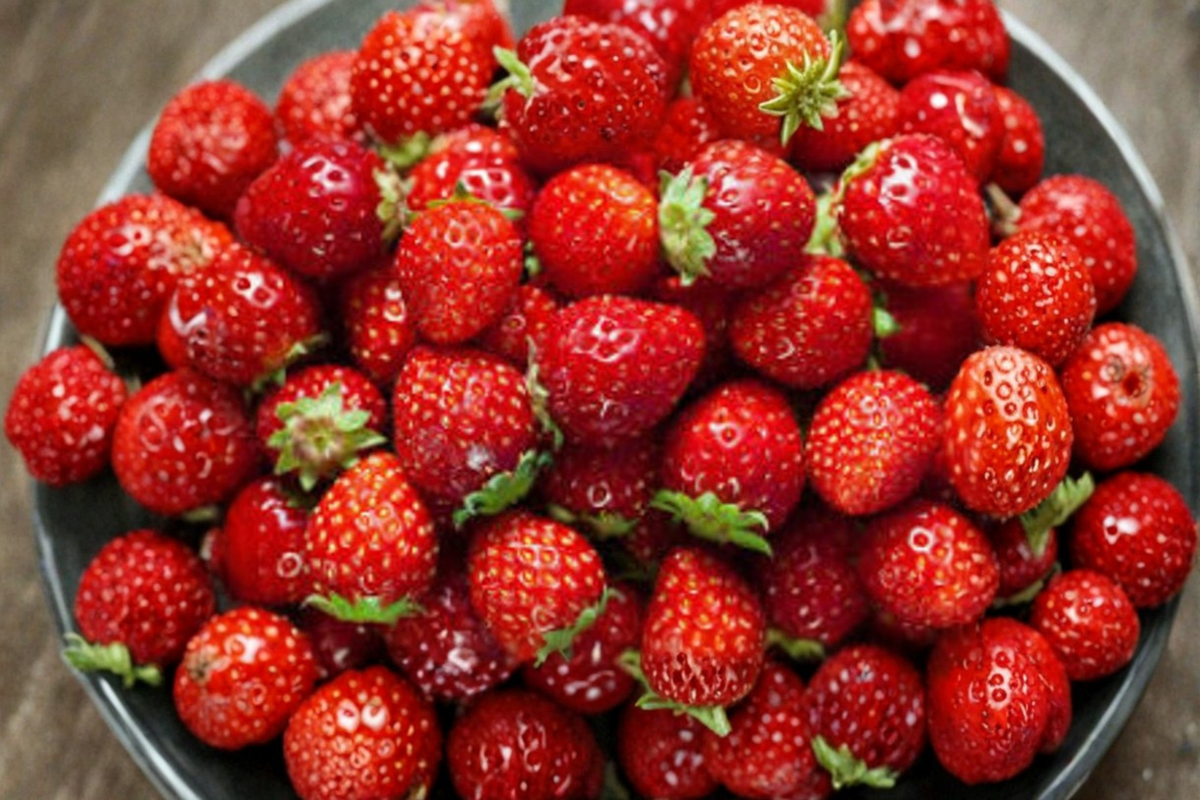 Sweet Charlie Strawberry Seeds - 30 Pack | Fragaria × ananassa - USA Seller