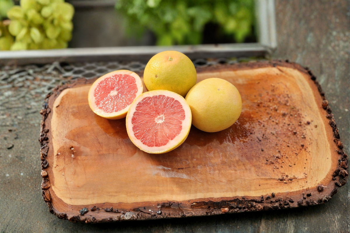Bloomsweet Grapefruit Citrus Tree - 1 Gallon Live Plant, Yellow Fruit, Fragrant Blooms