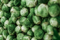 Jade Cross Brussels Sprouts Live Starter Plants – 4 Inches Tall, 4-Pack