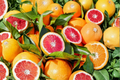 Moro Blood Orange Tree | 3 Gallon Live Citrus - Nearly Seedless, Container Friendly