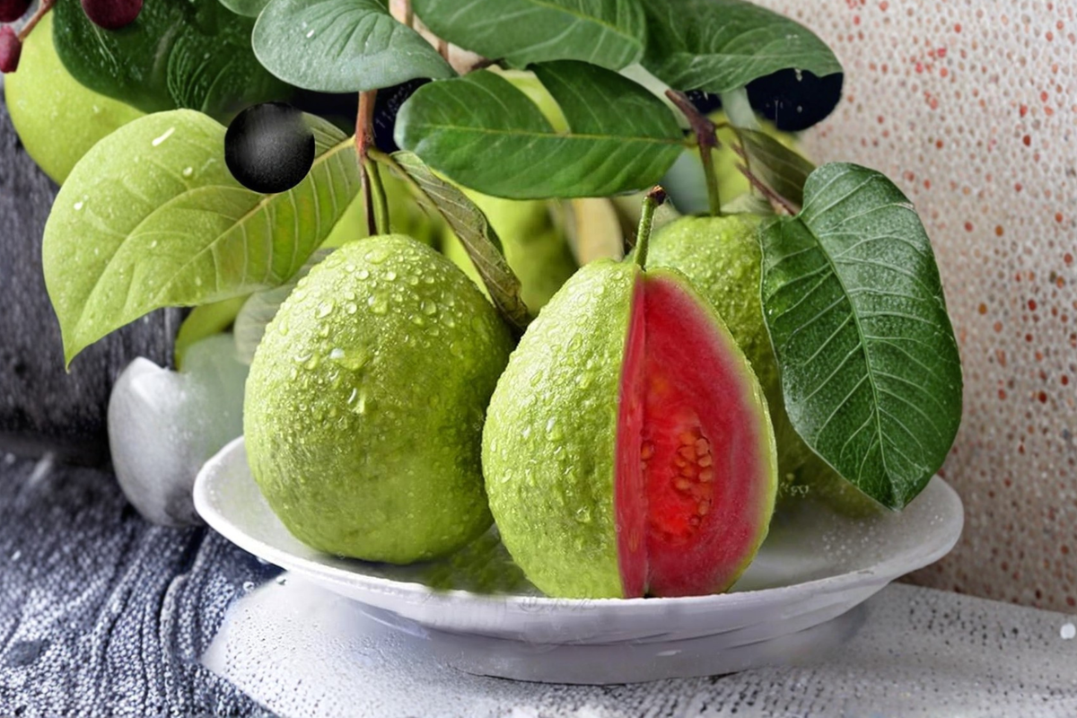 Giant Guava Seeds - Psidium guajava 30 Seeds for Indoor Pot or Outdoor Garden