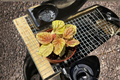 Peperomia Quito Live Plant | Variegated Tropical Starter Plant