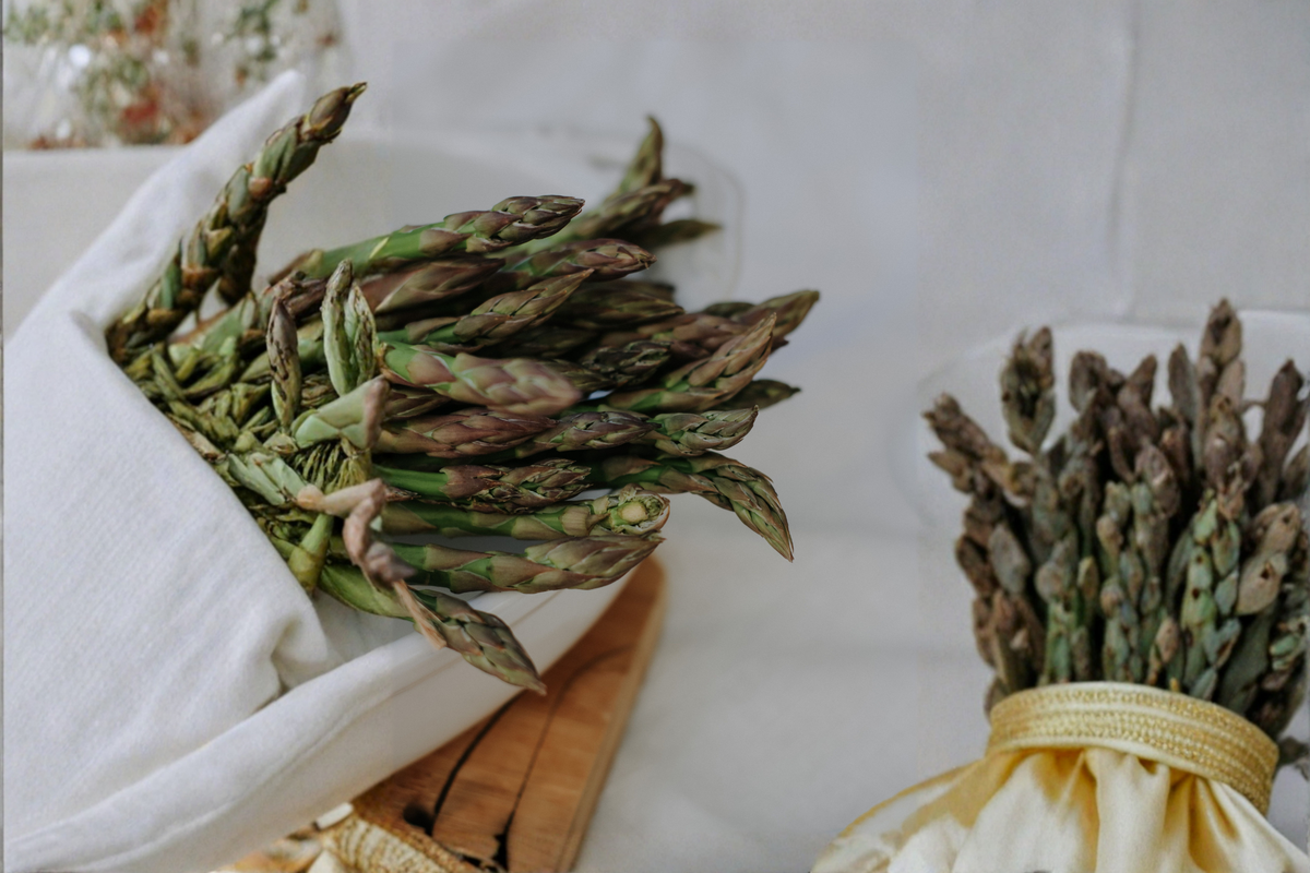Purple Passion Asparagus Bare Root Crowns – 5 Live 2-Year-Old Crowns (Asparagus officinalis)
