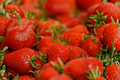 Ever Sweet Strawberry Live Plant in 4-Inch Pot | Fragaria × ananassa