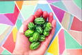 Mouse Cucumber Seeds - 20 Pack Melothria scabra | Climbing Vine, Edible Fruit