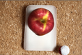 Jumbo Apple Tree Seeds - Open Pollinated Malus domestica, 10 Seeds for Home Orchard