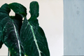 Syngonium Wendlandii Live Potted Plant – Broadleaf Indoor Tropical Houseplant