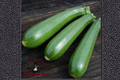 Dwarf Zucchini Seeds - 20 Seeds for Containers & Outdoor Gardens