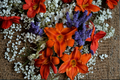 Alabama Jubilee Daylily Bare Root Plants (3) Yellow Orange - Hemerocallis